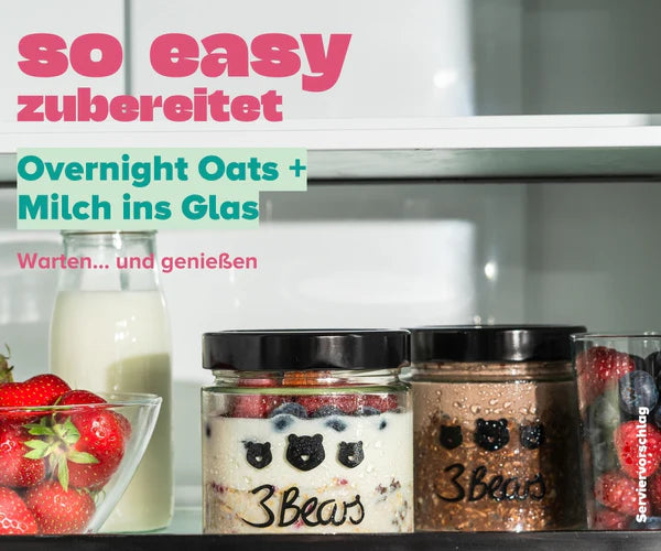 Overnight Oats – Haselnuss Kakao VE8
