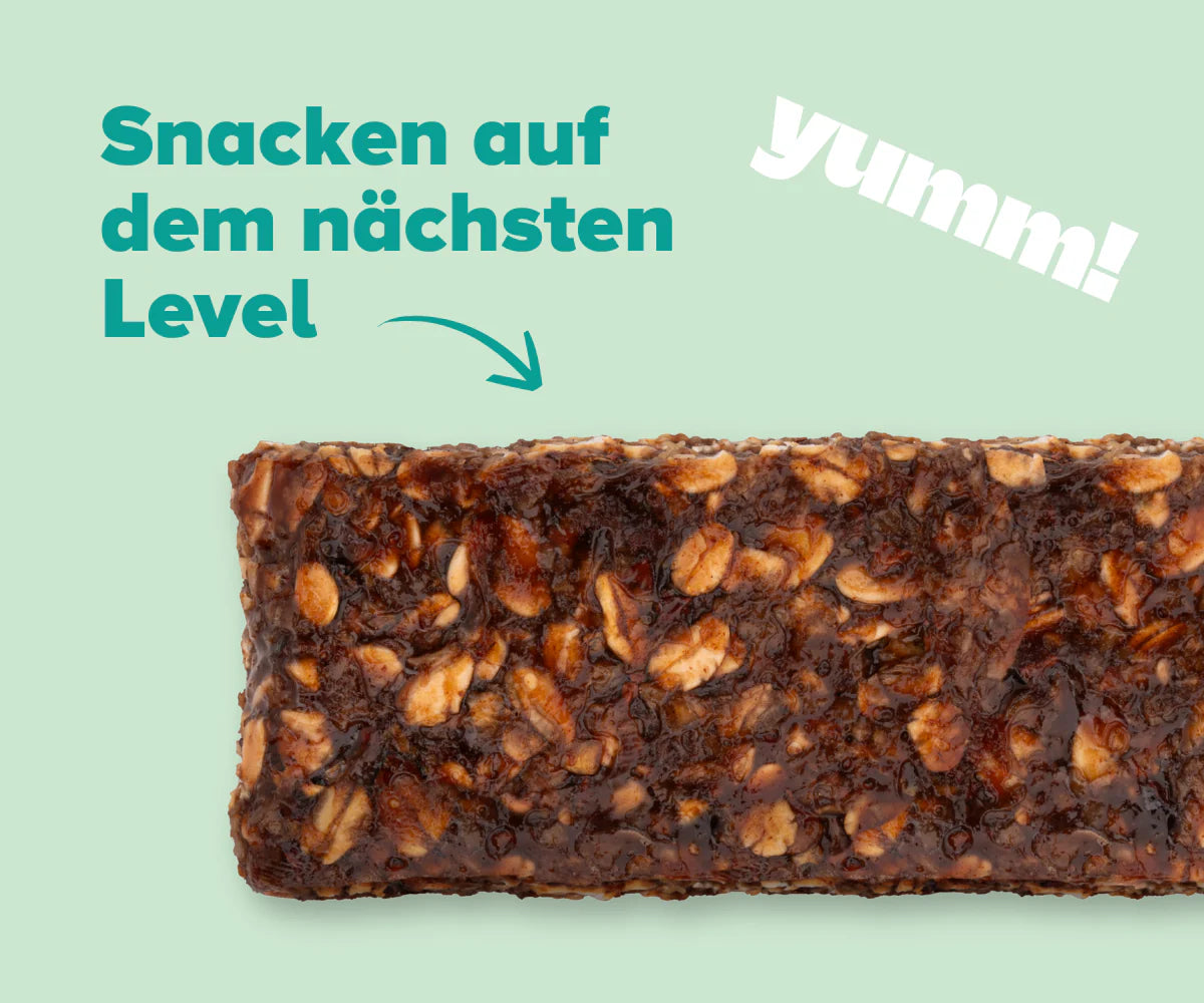Oat Bar – Feiner Kakao VE16