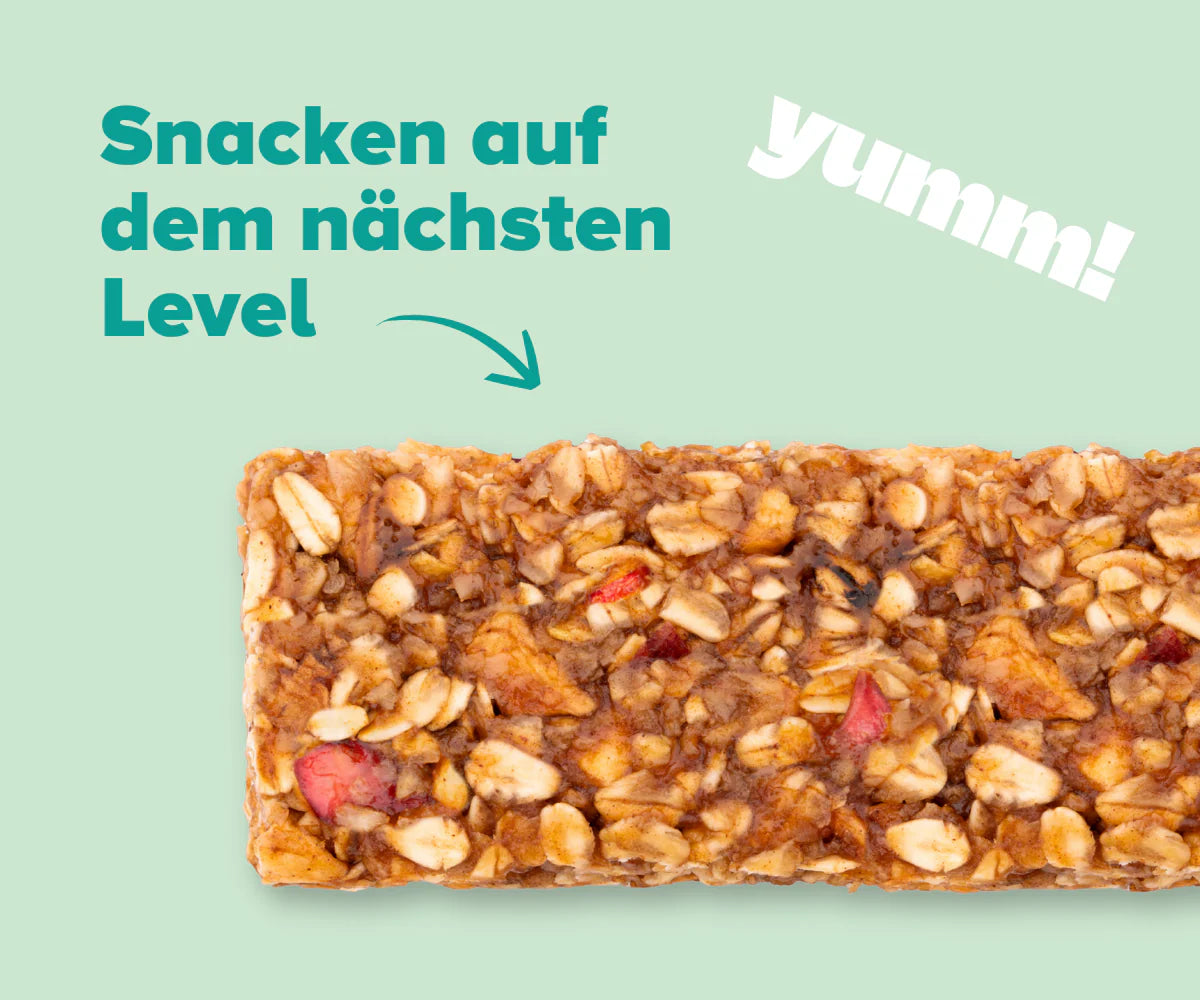 Oat Bar – Zimtiger Apfel VE16